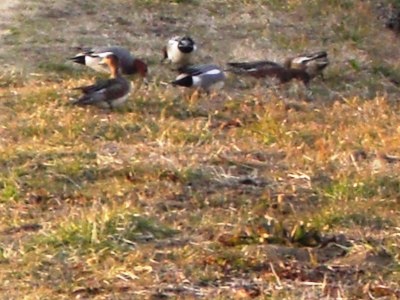 c0078480_21481228.jpg