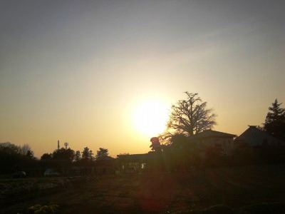 c0078480_22204260.jpg