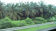b0042882_13315830.jpg