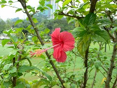 b0042882_18461041.jpg