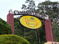 b0042882_18471922.jpg