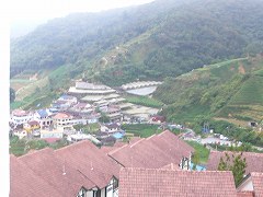 b0042882_18475354.jpg