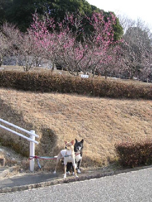 d0142182_1654051.jpg