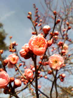 c0073987_19391345.jpg