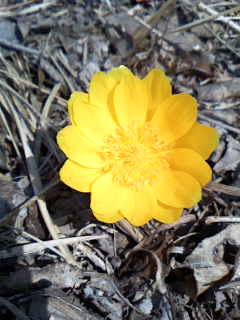 c0073987_19414647.jpg