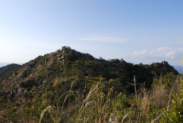 f0112087_2359268.jpg