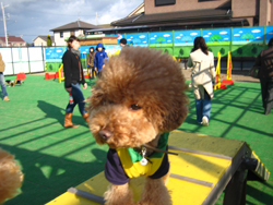 c0130389_2242463.jpg