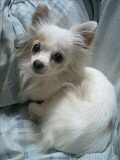 c0123890_20214295.jpg