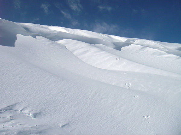 a0043193_2141367.jpg