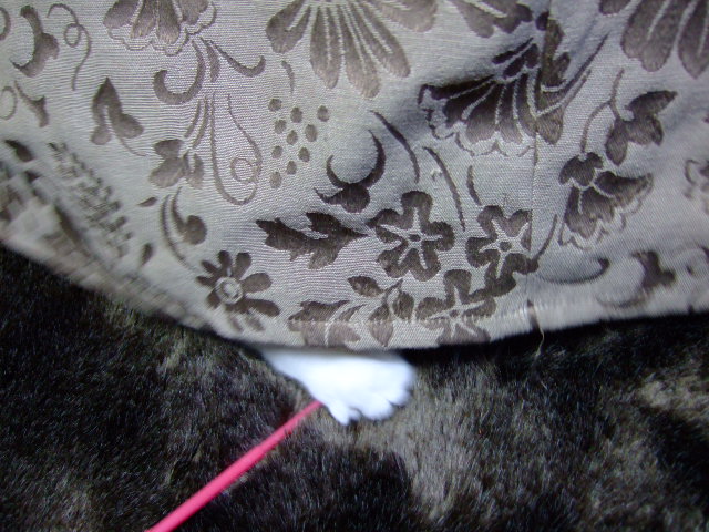c0150193_142459.jpg