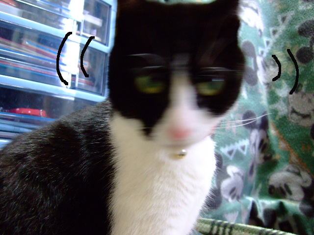 c0150193_1439681.jpg