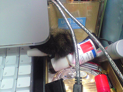 e0019594_1483232.jpg