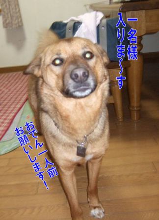 b0087400_23395958.jpg