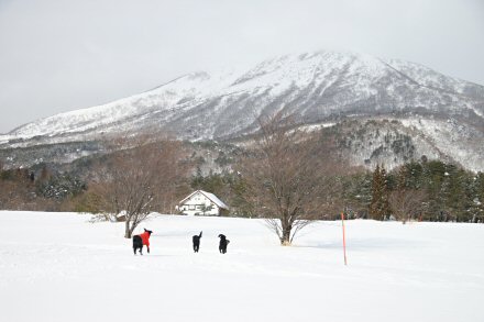 c0050400_21262981.jpg