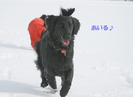 c0050400_2131754.jpg