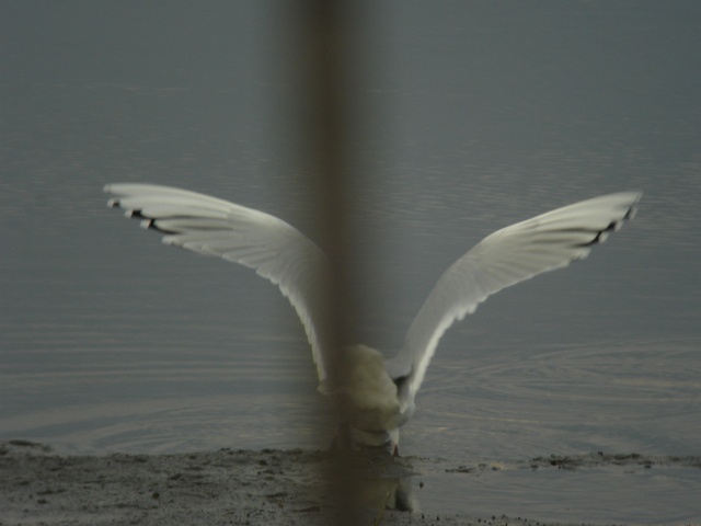 c0079001_20172799.jpg