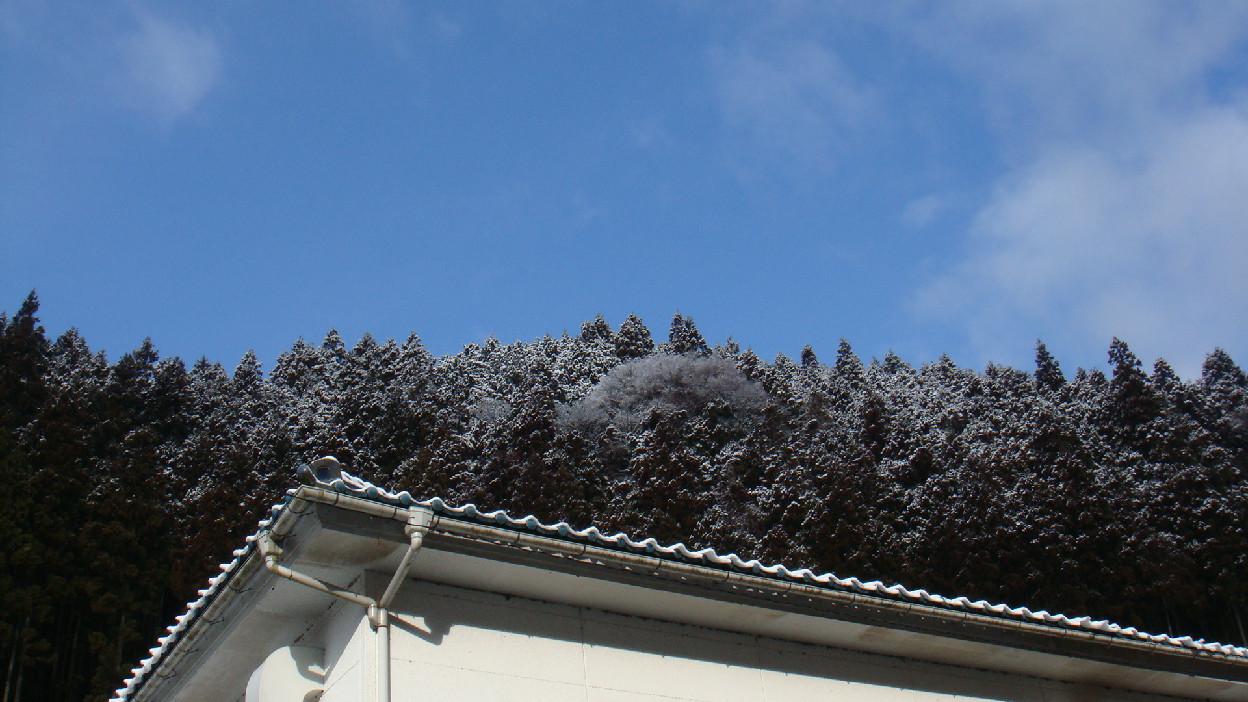 f0138304_1156966.jpg