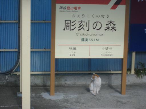 c0049105_116710.jpg