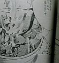 c0139007_2383021.jpg