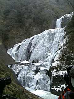 f0006510_233625.jpg