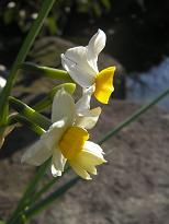 f0008510_12403159.jpg