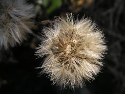 f0008510_12482123.jpg