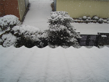 c0143711_13165875.gif