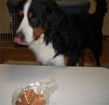 c0143711_13182361.gif