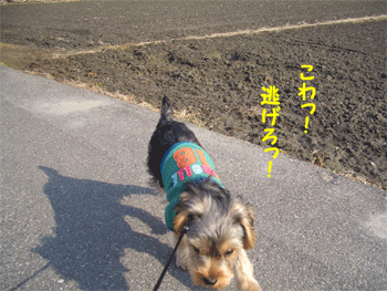 c0143711_21434616.gif