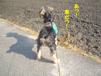 c0143711_2148054.gif