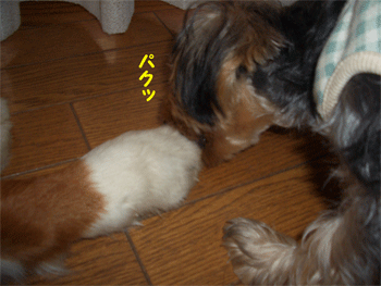 c0143711_2212461.gif