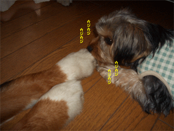c0143711_2252089.gif