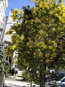 c0157412_2241830.jpg