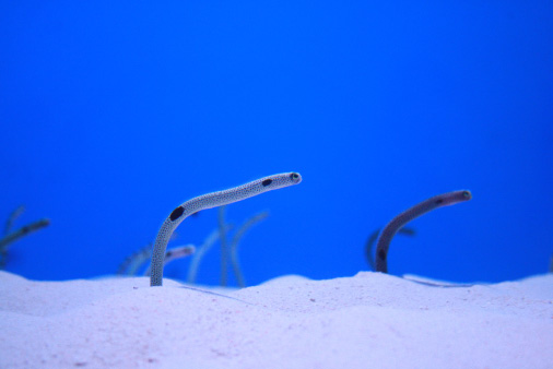 e0023512_18273451.jpg