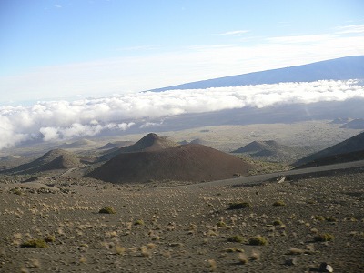 f0117618_1144367.jpg