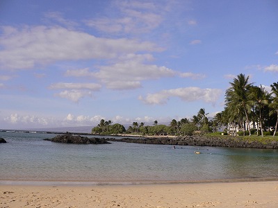 f0117618_12395238.jpg
