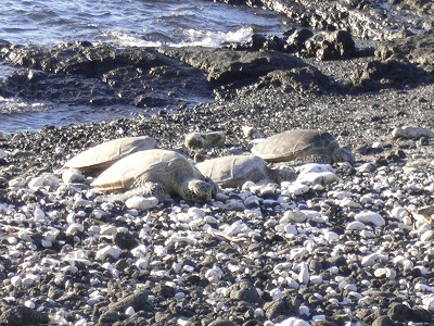f0117618_12581039.jpg
