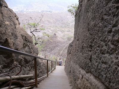 f0117618_1532818.jpg