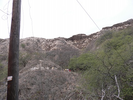 f0117618_1552560.jpg
