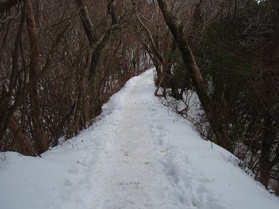 b0008825_10301696.jpg