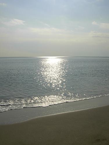 f0078132_4173140.jpg