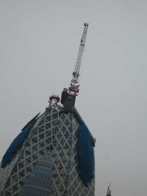 b0088037_20235865.jpg