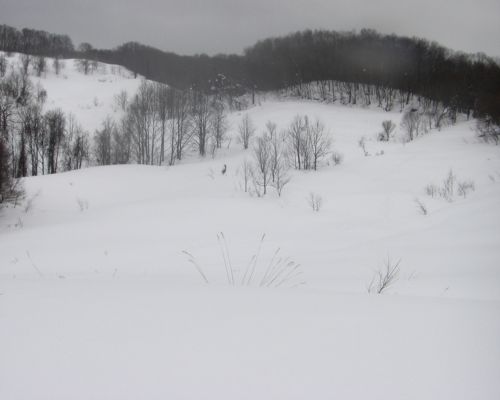 c0081645_014185.jpg