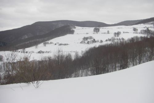 c0081645_0163749.jpg