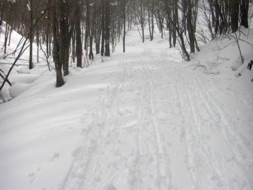 c0081645_083433.jpg