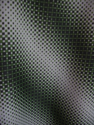 a0100946_0444484.jpg