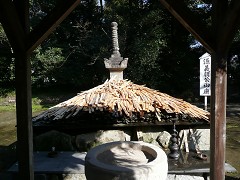 c0057946_0291475.jpg