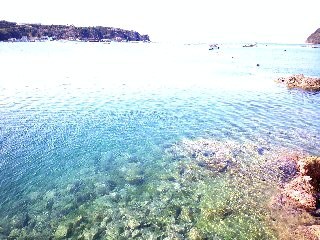 e0000847_0294074.jpg