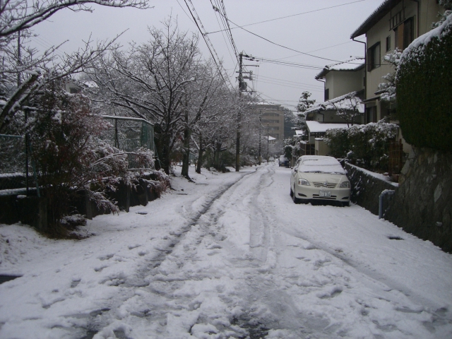 f0083649_1152342.jpg