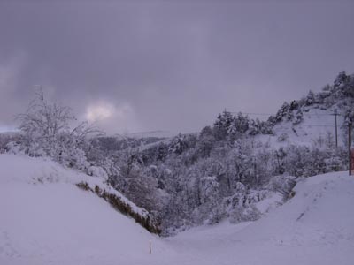 f0115851_20545385.jpg